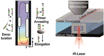 autonomous_evolution