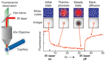 nanotemper