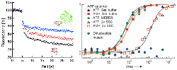 binding_aptamer