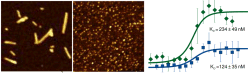 fiber_thermophoresis