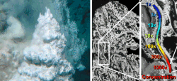 Hydrothermal_Accumulation