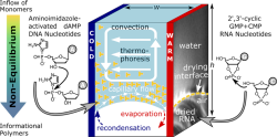 polymertrap