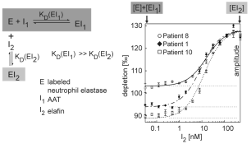 quantitative analysis of protease_zhenya