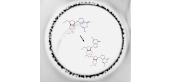 rna_foam