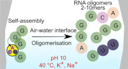 rna_polymer