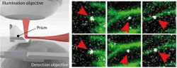 sheet_microscopy