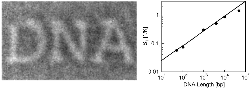 Thermophoresis